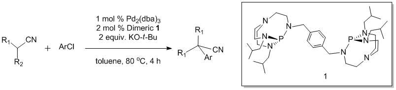 Phan 리간드를 사용한 나이트릴 분자의 α-아릴화 반응