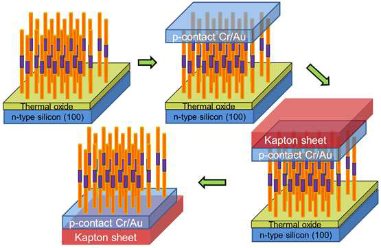 실리콘 산화막 위에 성장한 nanowire의 이종 기판 (Kapton sheet)에 옮기는 공정 과정