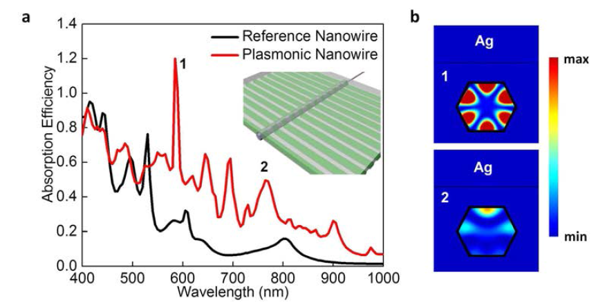 (a) 일반 나노선 및 SiO2 유전체 회절격자(주기 400 nm)가 도입된 플라즈몬 Si 나노선의 흡수 스펙트럼. 내부 그림은 유전체 회절격자 위에 Ag가 증착된 모습을 나타낸다. (b) 플라즈몬 나노선 흡수 스펙트럼 내 공명 모드에 해당하는 흡수 (J·E) 분포. 금속(Ag)과 유전체(SiO2)의 경계에 최대 흡수 세기가 나타난다.