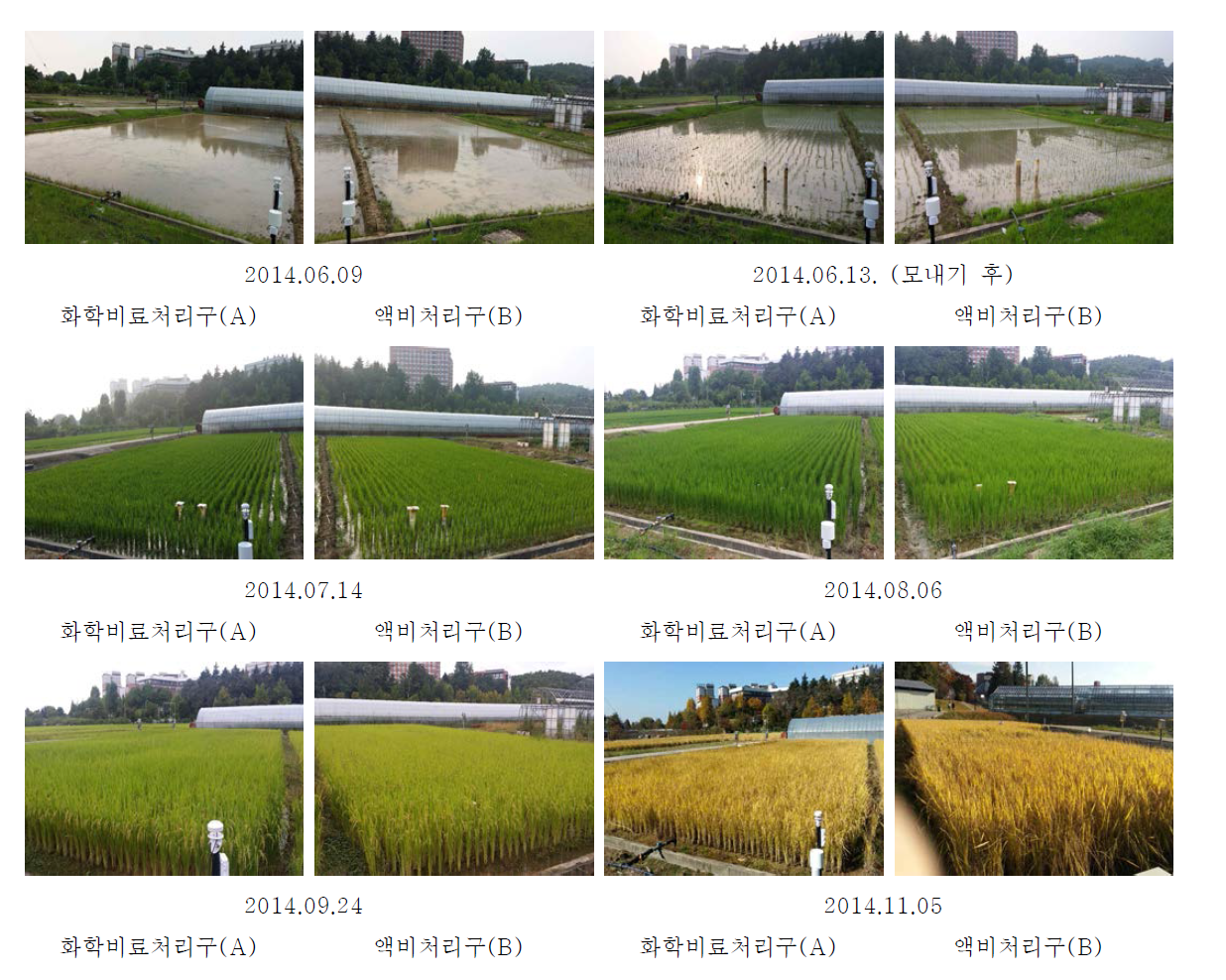 The view of agricultural activities at each treatment during 2014 cropping season