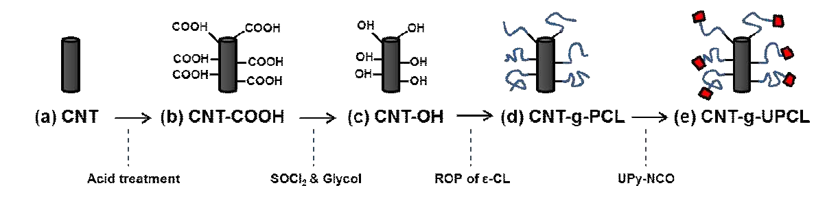 카본나노튜브(CNT)표면의 초분자 유도체 도입