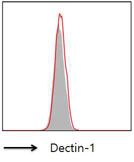 혈소판에서 Dectin-1의 발현