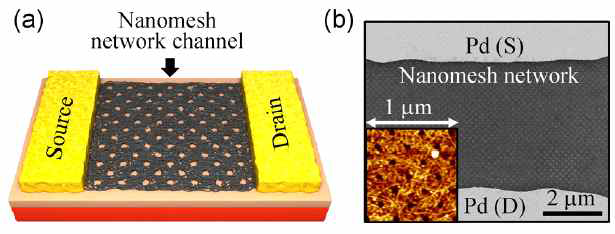 (a) 나노메쉬 구조의 탄소나노튜브 소자의 모식도. (b) 나노메쉬 구조의 SEM 이미지와 AFM 이미지