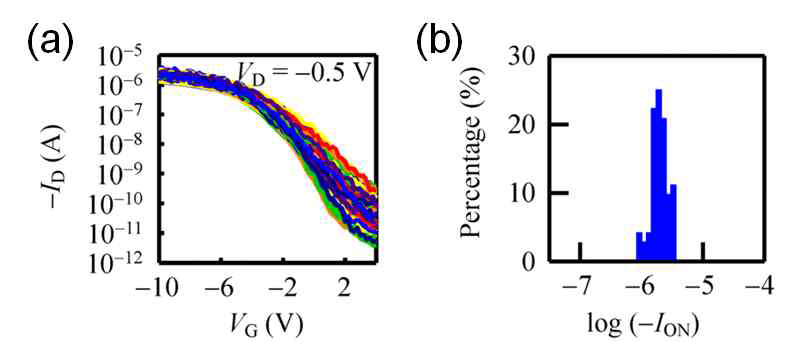 나노메쉬를 형성한 후의 (a) transfer curve (ID-VG)의 log scale, (b) 온 영역에서 흐르는 전류로부터 추출한 통계학적 자료