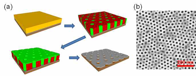 (a) Block copolymer를 이용한 나노메쉬 구조 형성 과정, (b) Block copolymer를 이용한 나노메쉬 구조의 SEM 이미지