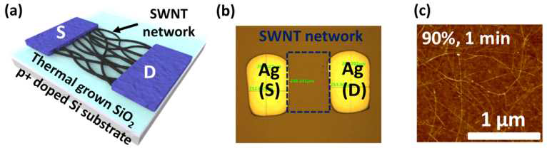 (a) 잉크젯 프린팅된 탄소나노튜브 기반의 반도체 소자의 모식도, (b) 광학 현미경 이미지, (c) 90% 반도체성 탄소나노튜브 네트워크 채널의 AFM 이미지