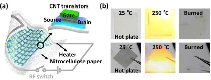 (a) 히터가 내장된 니트로셀룰로오스 종이 기판 위에 탑-게이트 탄소나노튜브 소자 기반의 사라지는 반도체 소자 구조 (b) 종이 기판의 전면과 끝 부분의 열적인 자극에 의해 소멸되는 종이 기판 이미지
