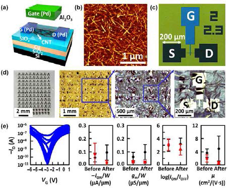 (a) WTP 공정 전의 단단한 기판 위에 제작된 탄소나노튜브 소자 구조 (b) 90% 반도체성 탄소나노튜브 채널의 AFM 이미지 (c) WTP 공정 전, (d) WTP 공정 후, 탄소나노튜브 소자의 광학 현미경 이미지 (e) 니트로셀룰로오스 종이 기판 위에 옮겨진 탄소나노튜브 소자의 transfer 특성과 WTP 공정 전, 후의 전기적 성능 비교