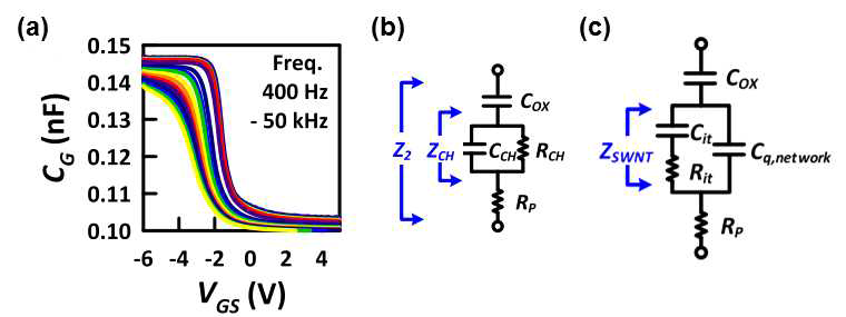 (a) 주파수에 따라 측정된 capacitance, (b) four-element 모델, (c) physics-based 모델