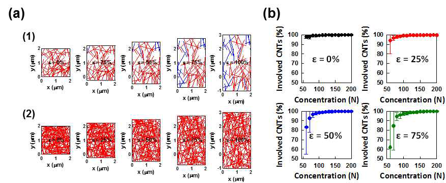 (a) 다른 탄소나노튜브농로 랜덤하게 생성 된 percolation 네트워크: (1) N = 60 및 (2) N = 200. 적색 선은 percolation 네트워크에서 탄소나노튜브의 연결 상태, 파란색 선은 연결에 관여되지 않은 상태. (b) Percolation 네트워크에 관여하는 탄소나노튜브와 탄소나노튜브의 밀도에 대한 백분율을 나타낸 그래프