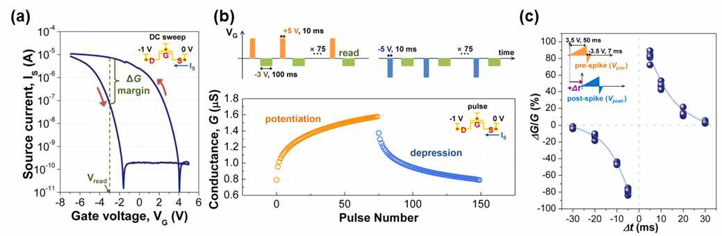 (a) 탄소나노튜브 기반의 3단자 반도체 소자의 히스테리시스 특성, (b) 인가 펄스에 따른 컨덕턴스의 변화를 나타내는 그래프, (c) STDP 특성
