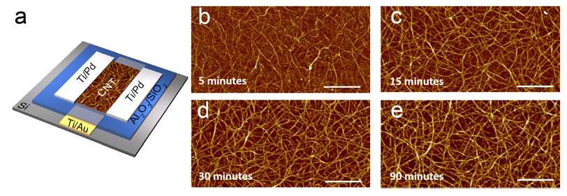 (a) 탄소나노튜브 소자 구조, (b)~(e) 탄소나노튜브 증착시간에 따른 AFM 이미지