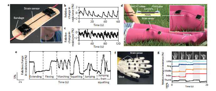 신축성이 있는 웨어러블(wearable) 기기 (a), (d), (f) 붕대 strain 센서 (a), 스타킹에 고정된 strain 센서 (d) 및 데이터 장갑(f)의 사진. (b),(c),(e),(g) 호흡에 대한 시간 대비 저항의 상대적인 변화와 무릎 운동 및 strain 장갑으로 측정한 데이터