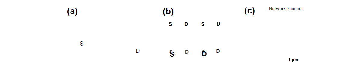 (a) 백 게이트 (back-gate)로 동작하는 탄소나노튜브 기반의 반도체 소자의 모식도. (b) 광학 현미경으로 관측한 사진. (c) 주사형 전자 현미경으로 탄소나노튜브의 채널 영역을 찍은 사진