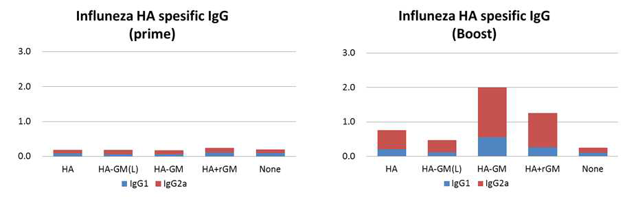 면역조절분자를 발현하는 HA-GMCSF VLP 백신에 의한 항체 isotype switching 분석
