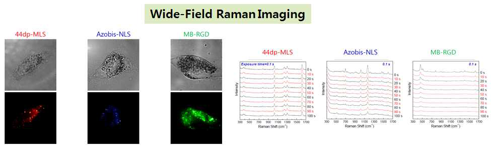 Wide-field 이미징 방식 단일 세포 라만 이미지 및 세포내 라만 신호 변화