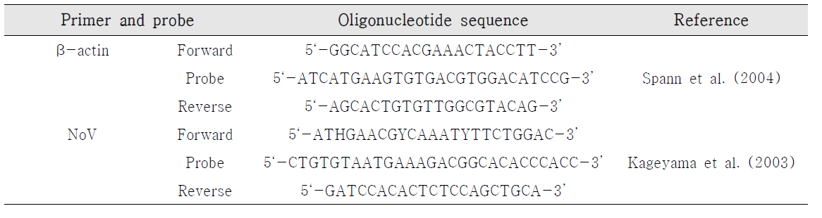 노로바이러스 genome 측정을 위한 primer, probe sequence