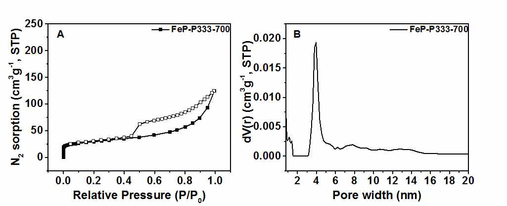 FeP-P333-700의 (A)질소흡착곡선과 (B)pore size distribution