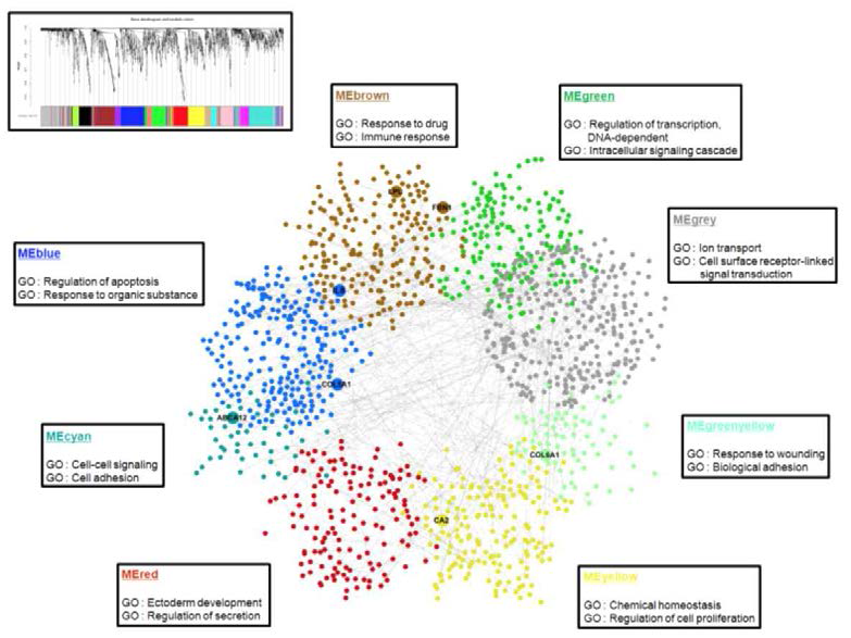 Weighted gene co-expression network, PPI를 연계 획득내성 특이적 module 분석