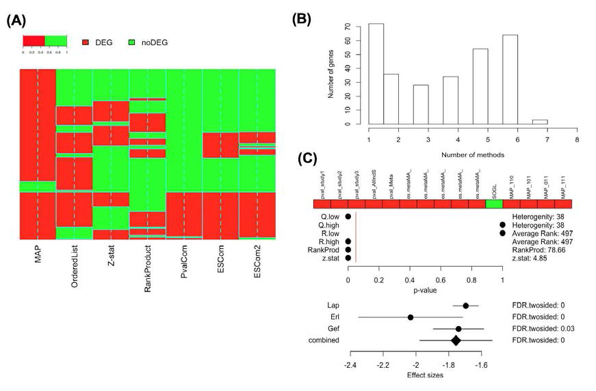 meta-DEG 분석방법: combine p-values, combine ES, SOGL, RankProduct, VennMapping, MA 활용 최적의 DEG set 발굴