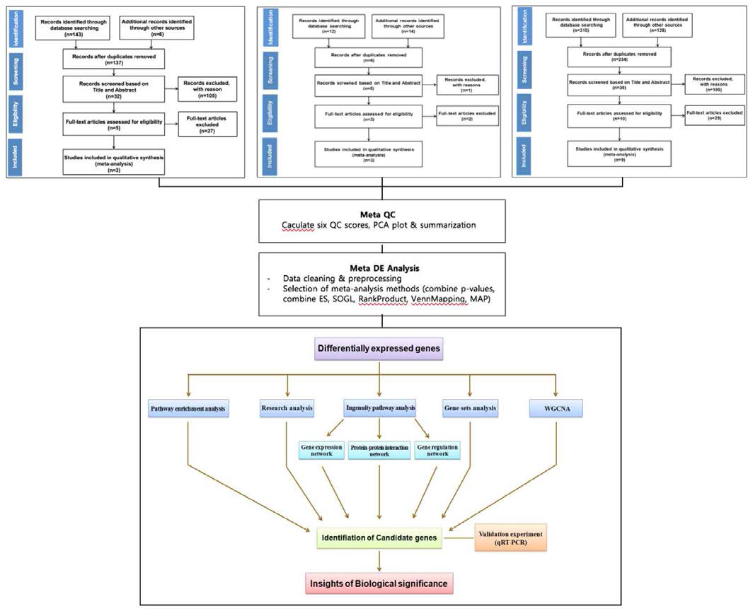 Horizontal meta analysis & vertical gene regulation analysis workflow