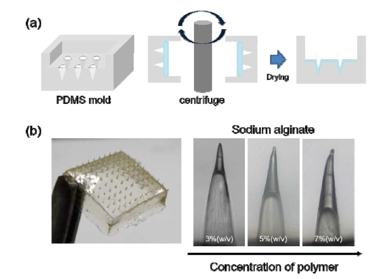 (a) 원심분리기를 이용한 마이크로바늘 패치 제조 과정, (b) Alginate로 만들어진 패치와 농도 에 따른 팁 길이의 변화