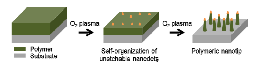 플라즈마 공정을 통한 자가 조립 nanotip 제작