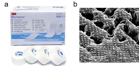 (a) 기존에 주로 사용되고 있는 의료용 테이프, (b) 접촉면적을 높이기 위해 접착제 표면에 마 이크로 또는 나노구조를 제조함