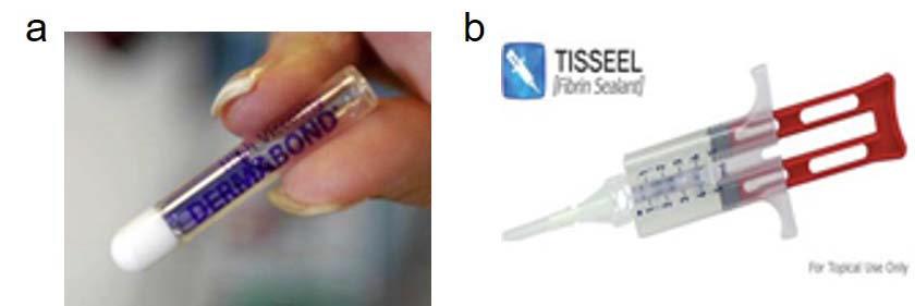 (a) Cyanoacrylate 계열의 Derma bond®, (b) 혈액응고 단백질을 이용한 Fibrin glue 접착제