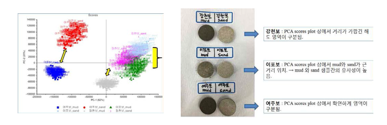 한강 퇴적물 샘플의 PCA score plot(좌)과 퇴적물의 특성 비교(우)