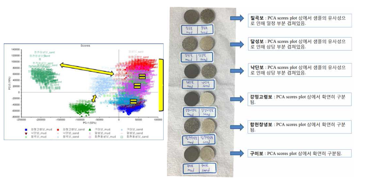 낙동강 퇴적물 샘플의 PCA score plot(좌)과 퇴적물의 특성 비교(우)