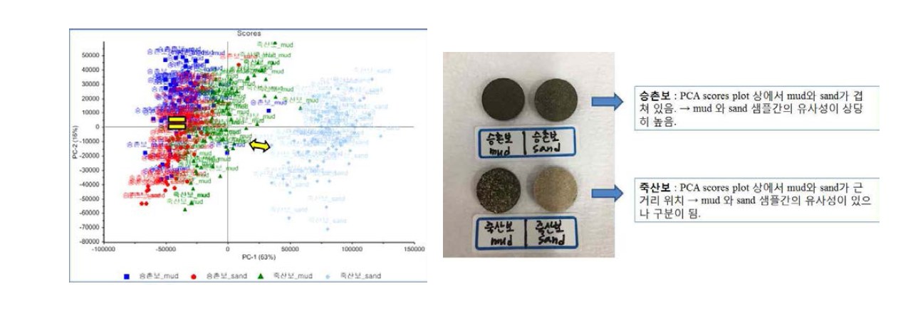 영산강 퇴적물 샘플의 PCA score plot(좌)과 퇴적물의 특성 비교(우)