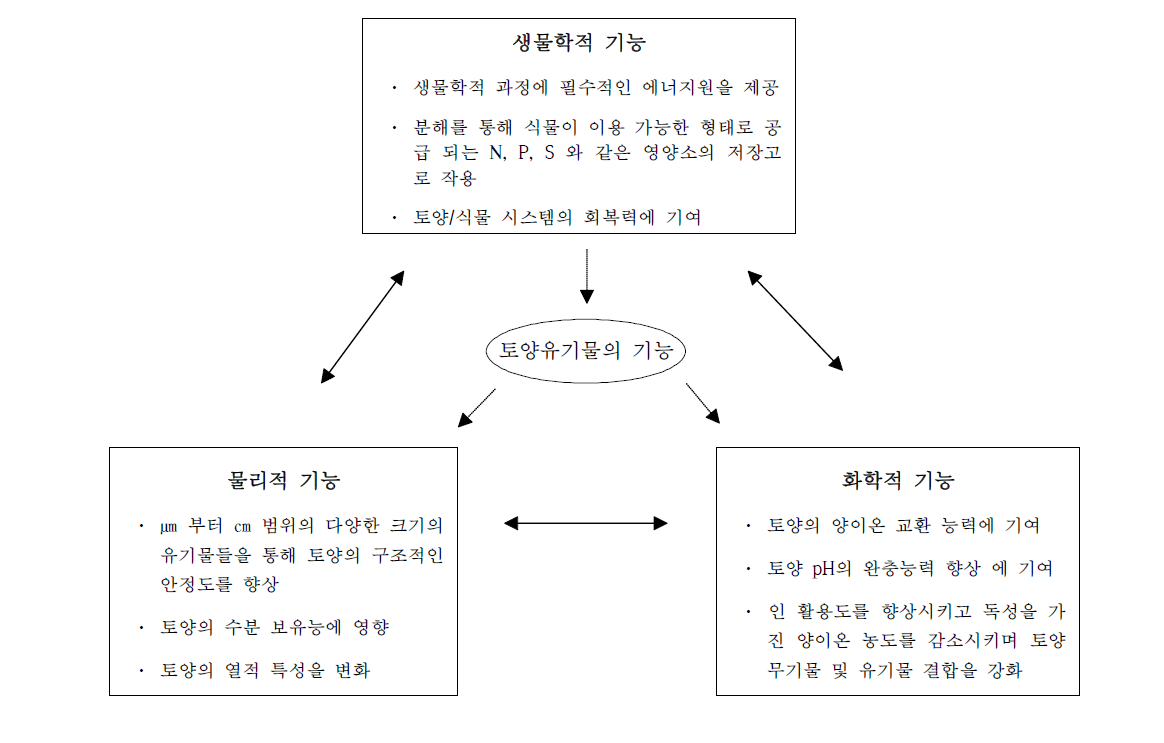 토양 시스템에서 유기물의 물리적·화학적·생물학적 기능