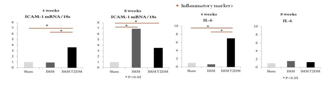 관절낭염 조직에서 ICAM-1, IL-1b mRNA 발현