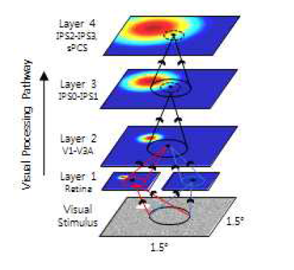 시각 시스템을 모방하는 계층적 네트워크 모델링