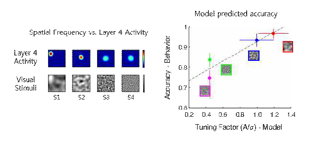 네트워크 모델을 통한 작업 기억 정확성 예측과 실제 실험에서 측정된 작업 기억 정확성