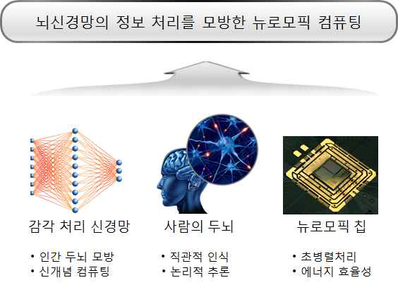 여러 종류의 쌍 안정 인지에서 발견되는 공통되는 행동 패턴