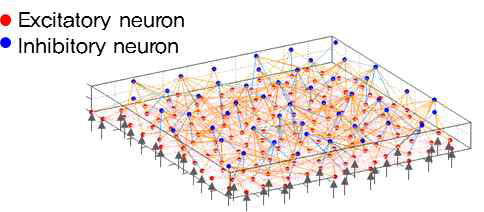 흥분성, 억제성 세포로 구성된 신경세포 네트워크