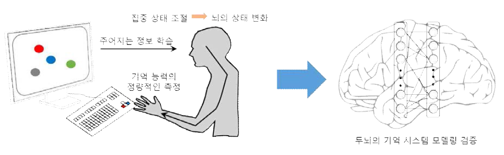 심리물리학 실험을 이용한 사람의 기억 능력의 정량적인 측정 및 모델링 검증