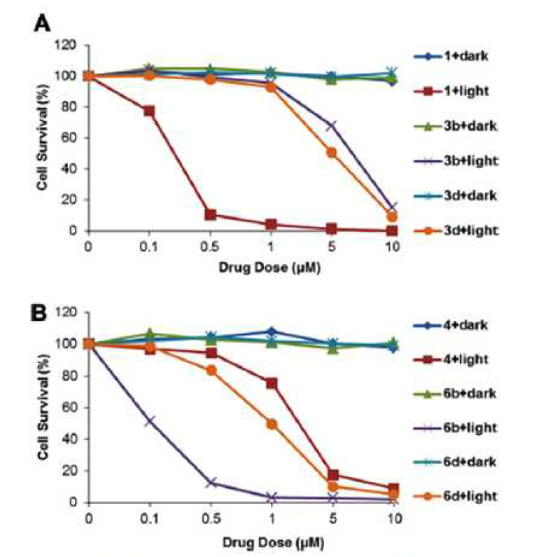 Cell viability results in dark and after PDT in HeLa cells for MPPa-based cationic chlorins