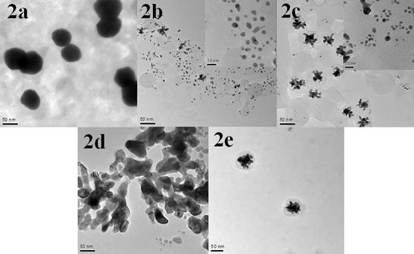 TEM images of the PS-GNPs conjugates 2a–2e. The scale bars are 50 nm and the inset scale bars are 10 nm.