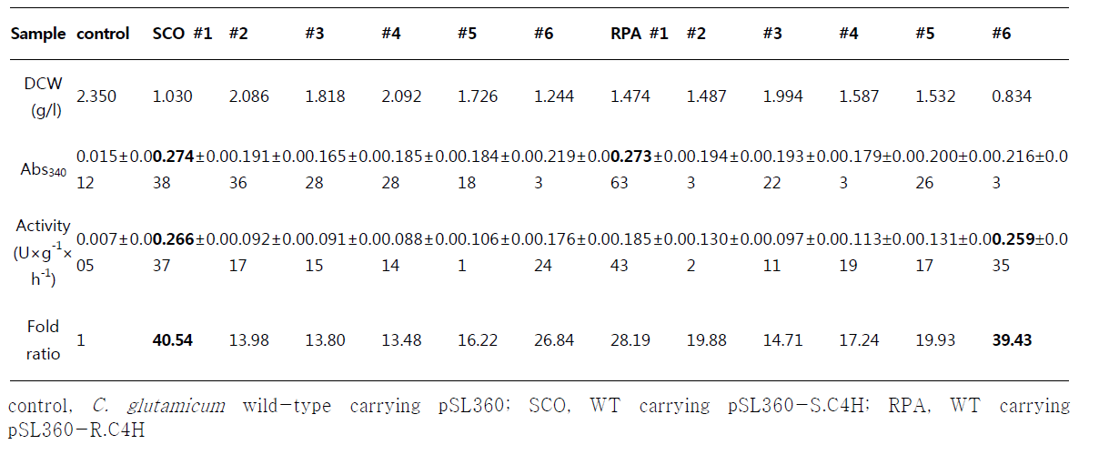 C4H activity assay results of C. glutamicum strains.