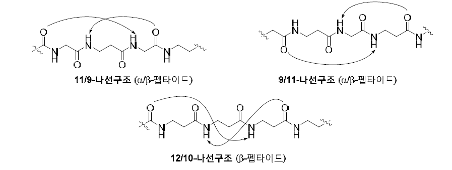 본 연구에서 수행한 세 가지 형태의 나선구조의 수소결합 패턴