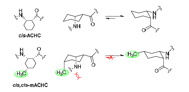 cis,cis-mACHC의 설계