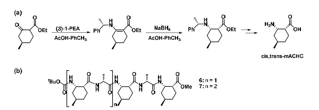 (a) cis,trans-mACHC의 합성; (b) 9/11-나선형 올리고머들