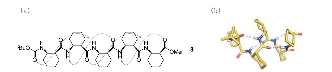 (a) 12/10-나선형 접힘을 나타내는 베타-펩타이드; (b) 12/10-나선형 결정구조