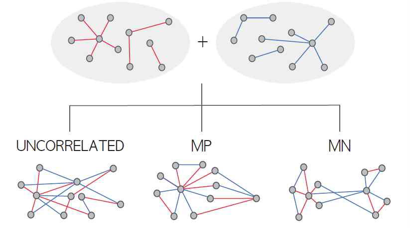 Correlated multiplexity network model의 모식도.