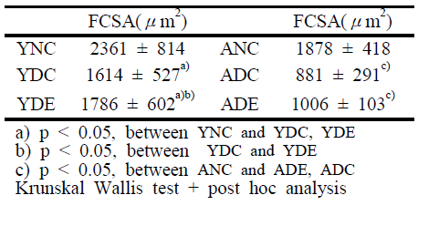 Fiber Cross Sectional Area of GGCM