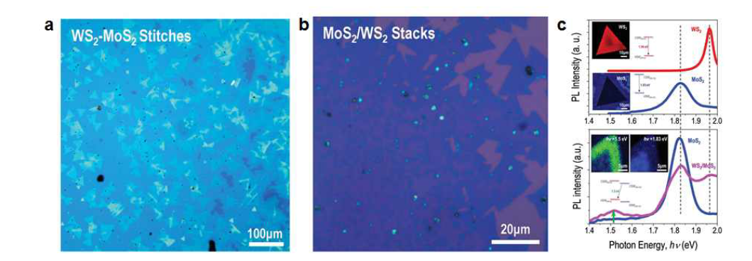 MoS2/WS2 대면적 이종접합 성공.