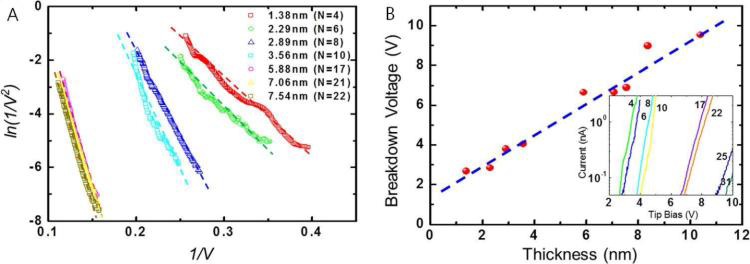 (A) Fowler-Nordheim tunneling model에 fitting한 h-BN I-V 곡선 (B) h-BN 두께에 따른 Breakdown volatge 변화